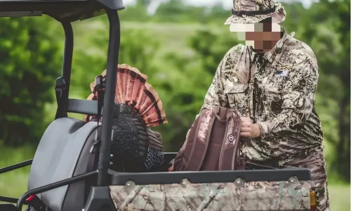 Operator loading materials into the cargo box of a gasoline UTV for farm and outdoor operations